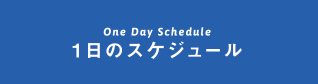 One Day Schedule 1日のスケジュール