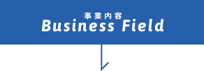 事業内容 Business Field