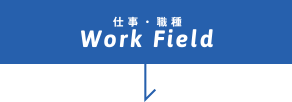 仕事・職種 Work Field